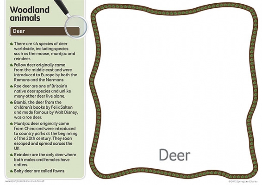 Woodlands fact cards – text