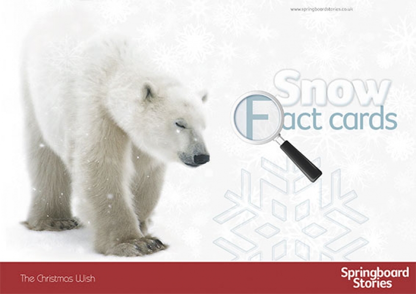Snow fact card primary resource