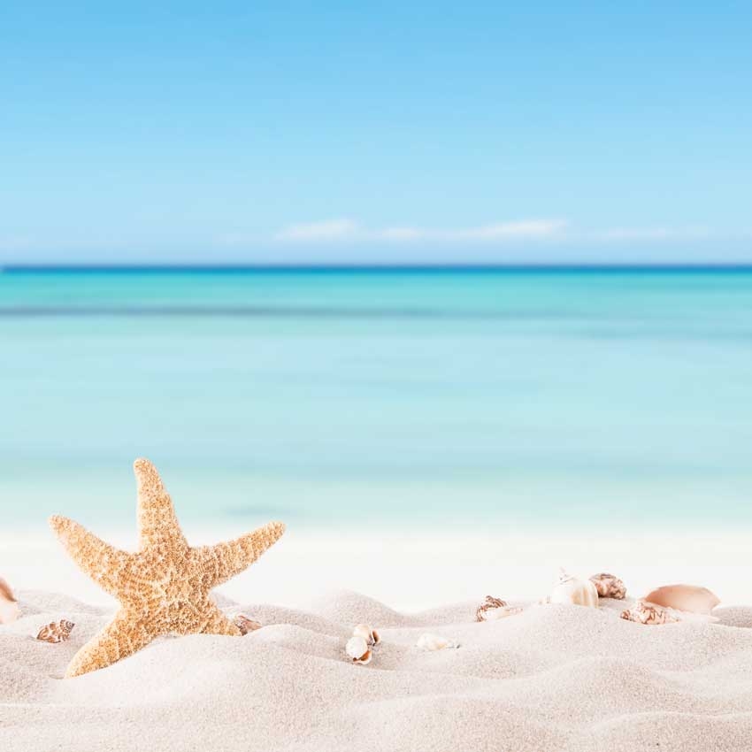 Assembly time &ndash; The sea