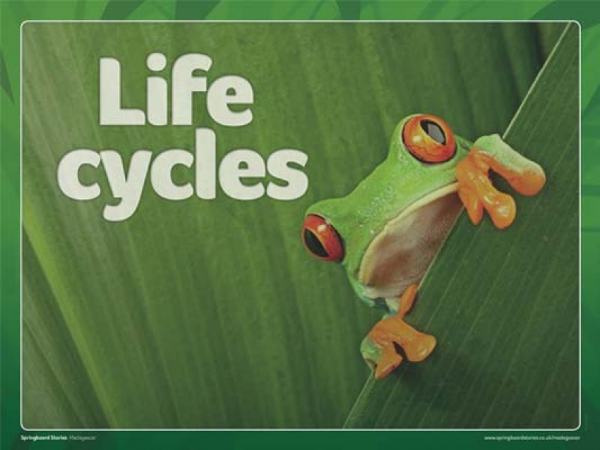 Life cycle slideshow