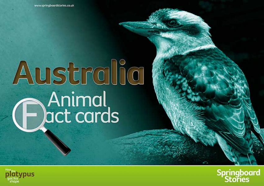 Animal fact card template