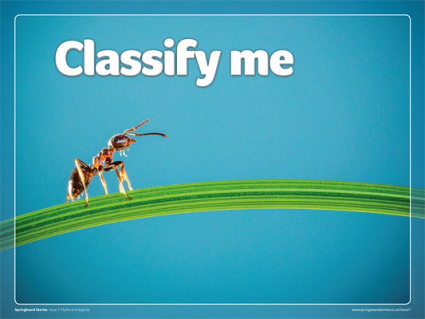 Classify me slideshow primary whiteboard resource