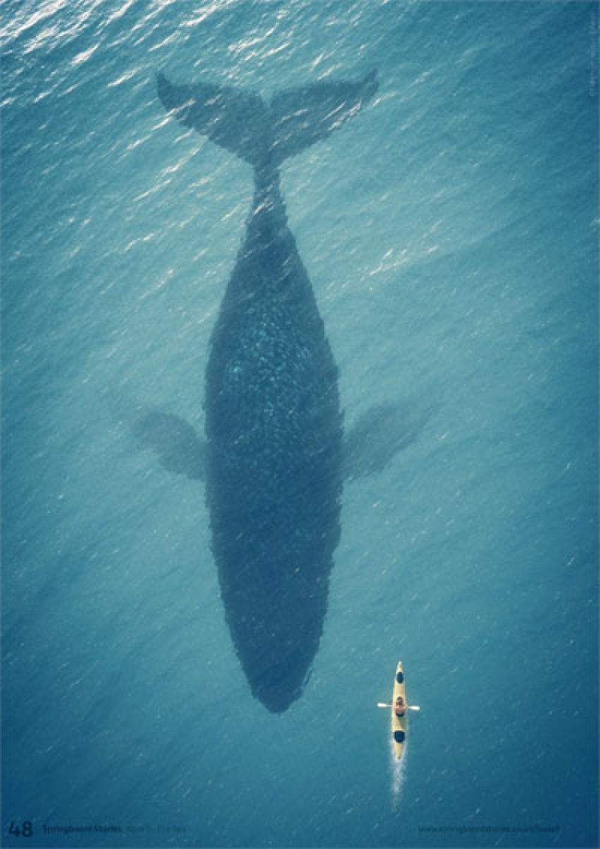 What lies beneath primary story starter