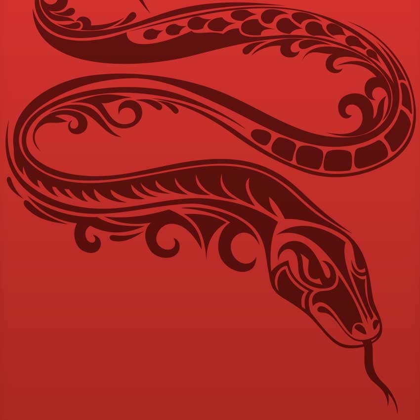 Chinese New Year