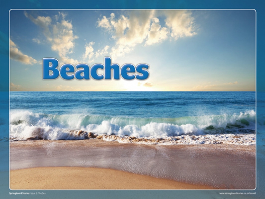 Beach image whiteboard resource
