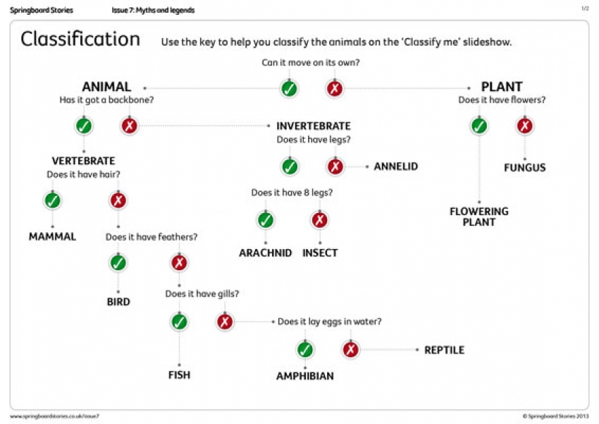 Science classification