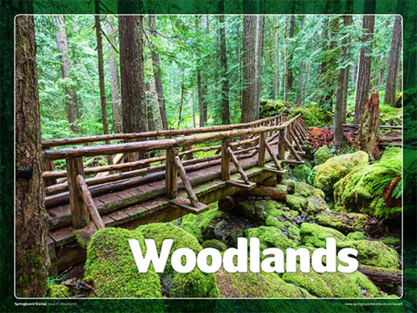 Woodland image slideshow