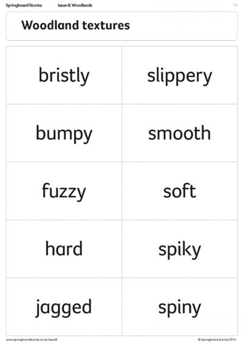 Woodland texture words primary vocabularly resource