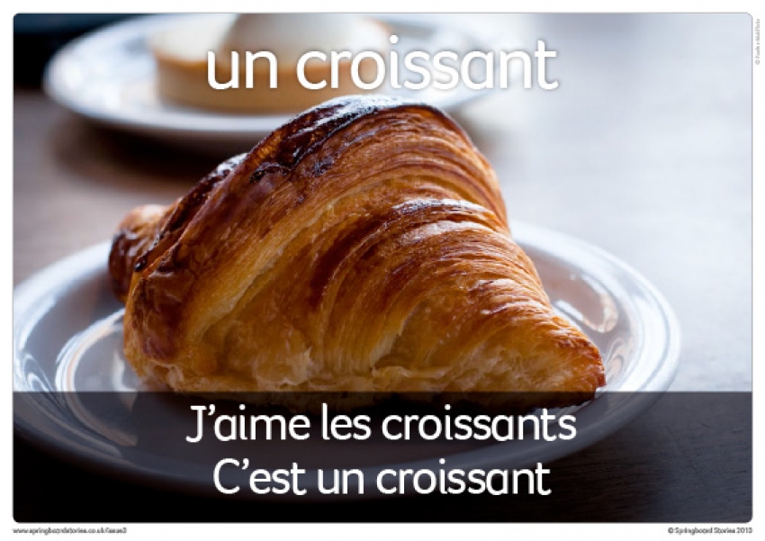 French flashcards primary resource