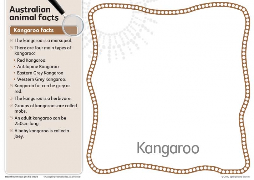 Australian animal fact cards – text